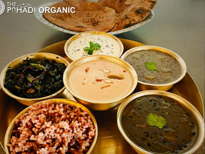 Organic Farming Area