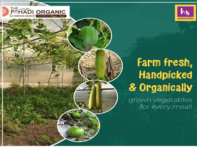 Organic Farming Area