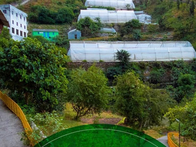 Organic Farming Area