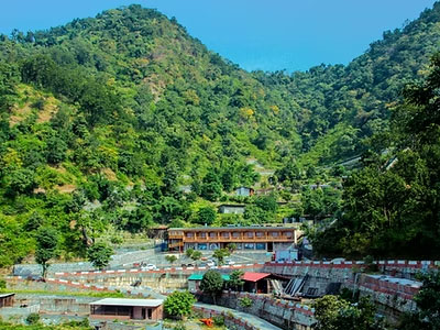 Organic Farming Area