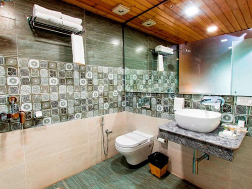 The Pahadi Organic Room Images